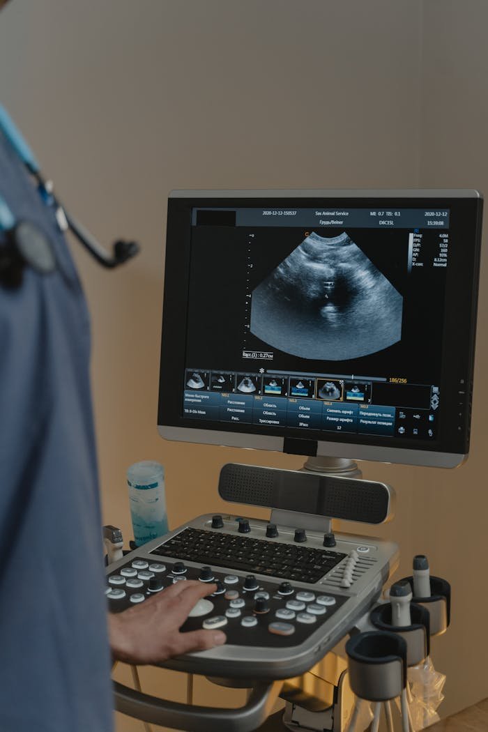 Services A healthcare professional using an ultrasound machine in a clinical setting.